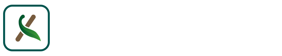 小九nba直播吧