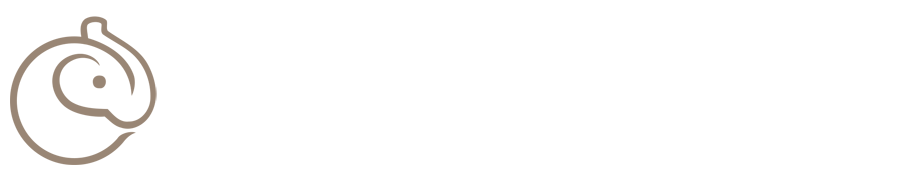 2024年6月15日CUBAL厦门大学vs中国矿业大学集锦中文视频