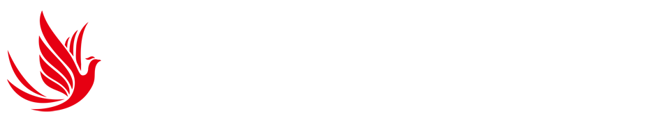 2024年6月16日意大利VS阿尔巴尼亚欧洲杯直播集锦