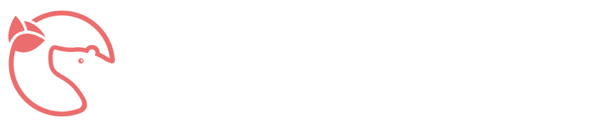 【2024年5月11日】亚冠杯横滨水手vs艾因免费高清集锦录像-178足球直播网